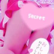 ヒメ日記 2025/03/29 13:04 投稿 白川奈緒 五十路マダム 浜松店(カサブランカグループ)