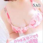 ヒメ日記 2025/04/06 20:14 投稿 白川奈緒 五十路マダム 浜松店(カサブランカグループ)