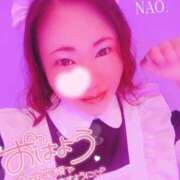 ヒメ日記 2025/04/14 11:16 投稿 白川奈緒 五十路マダム 浜松店(カサブランカグループ)