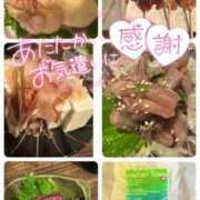 ヒメ日記 2025/04/15 20:18 投稿 白川奈緒 五十路マダム 浜松店(カサブランカグループ)