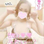 ヒメ日記 2025/05/01 21:00 投稿 白川奈緒 五十路マダム 浜松店(カサブランカグループ)