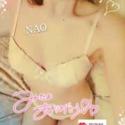 ヒメ日記 2025/05/19 18:00 投稿 白川奈緒 五十路マダム 浜松店(カサブランカグループ)