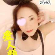 ヒメ日記 2025/06/03 16:54 投稿 白川奈緒 五十路マダム 浜松店(カサブランカグループ)