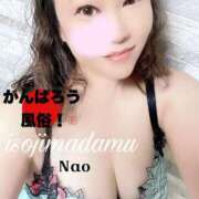 ヒメ日記 2025/09/27 10:26 投稿 白川奈緒 五十路マダム 浜松店(カサブランカグループ)