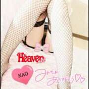 ヒメ日記 2026/03/16 18:04 投稿 白川奈緒 五十路マダム 浜松店(カサブランカグループ)