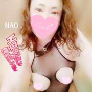 ヒメ日記 2026/07/08 18:00 投稿 白川奈緒 五十路マダム 浜松店(カサブランカグループ)