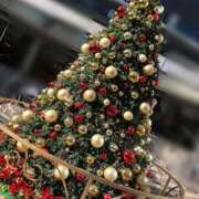 ヒメ日記 2024/12/25 23:55 投稿 高梨 品川やすらぎ