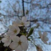 ヒメ日記 2026/04/13 19:20 投稿 ナナ リッチドールなんば店