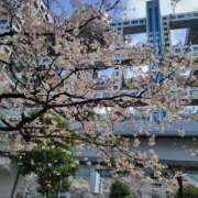 ヒメ日記 2025/04/05 00:52 投稿 なかむら 大和人妻城