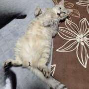 なかむら 祭日の月曜日……… 大和人妻城