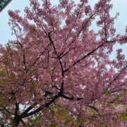 ヒメ日記 2026/02/27 12:35 投稿 なかむら 大和人妻城