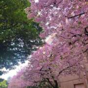 ヒメ日記 2026/03/01 21:02 投稿 なかむら 大和人妻城