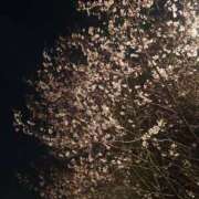 ヒメ日記 2026/03/28 20:34 投稿 なかむら 大和人妻城