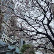 ヒメ日記 2026/04/02 22:42 投稿 なかむら 大和人妻城