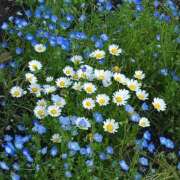 ヒメ日記 2026/04/20 20:52 投稿 なかむら 大和人妻城