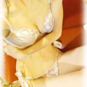 ヒメ日記 2025/04/03 09:41 投稿 しのぶ 夢幻（むげん）