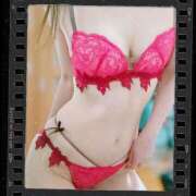 ヒメ日記 2025/05/26 09:31 投稿 しのぶ 夢幻（むげん）