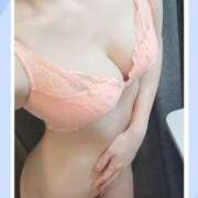 ヒメ日記 2026/02/02 12:52 投稿 しのぶ 夢幻（むげん）