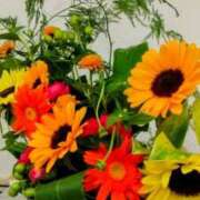 ヒメ日記 2025/05/24 14:11 投稿 ゆきこ 熟女の風俗最終章 宇都宮店