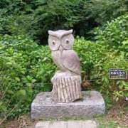 ヒメ日記 2025/05/25 14:31 投稿 ゆきこ 熟女の風俗最終章 宇都宮店