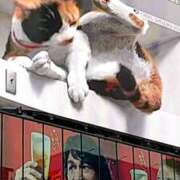 ヒメ日記 2025/06/07 15:21 投稿 ゆきこ 熟女の風俗最終章 宇都宮店