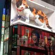 ヒメ日記 2025/06/08 16:41 投稿 ゆきこ 熟女の風俗最終章 宇都宮店