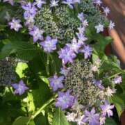 ヒメ日記 2025/06/19 15:01 投稿 ゆきこ 熟女の風俗最終章 宇都宮店