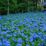 ヒメ日記 2025/06/27 11:28 投稿 ゆきこ 熟女の風俗最終章 宇都宮店