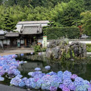 ヒメ日記 2025/06/27 11:31 投稿 ゆきこ 熟女の風俗最終章 宇都宮店