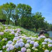 ヒメ日記 2025/07/14 11:21 投稿 ゆきこ 熟女の風俗最終章 宇都宮店