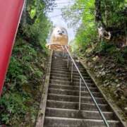 ヒメ日記 2025/10/10 18:33 投稿 ゆきこ 熟女の風俗最終章 宇都宮店