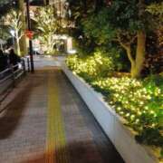 ヒメ日記 2025/12/27 12:51 投稿 ゆきこ 熟女の風俗最終章 宇都宮店