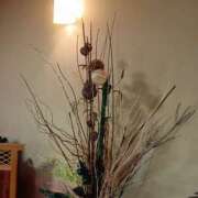 ヒメ日記 2025/12/29 10:54 投稿 ゆきこ 熟女の風俗最終章 宇都宮店