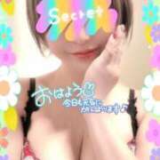 ヒメ日記 2025/11/29 08:01 投稿 めぐ 池袋西口でSUGEEE求められる俺のカラダ