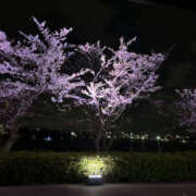 ヒメ日記 2025/05/11 09:52 投稿 りおん バッドカンパニー水戸