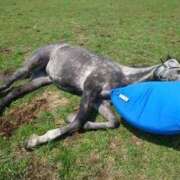 ヒメ日記 2025/08/26 13:22 投稿 葉月　るい ソープランド蜜 人妻・美熟女専門店