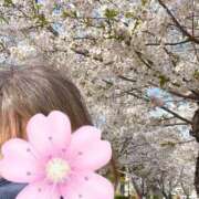 ヒメ日記 2025/04/08 09:43 投稿 らん Felice(フェリス)