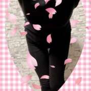 ヒメ日記 2025/04/09 08:15 投稿 らん Felice(フェリス)