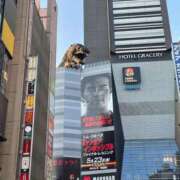 ヒメ日記 2025/06/18 12:15 投稿 らん Felice(フェリス)