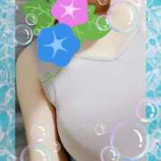 ヒメ日記 2025/06/26 07:15 投稿 らん Felice(フェリス)