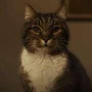 ヒメ日記 2025/08/12 07:30 投稿 らん Felice(フェリス)