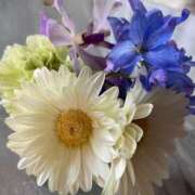 ヒメ日記 2025/08/23 07:35 投稿 らん Felice(フェリス)