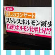 ヒメ日記 2025/09/11 06:56 投稿 らん Felice(フェリス)
