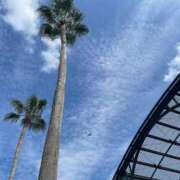 ヒメ日記 2025/09/25 12:31 投稿 らん Felice(フェリス)