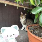 ヒメ日記 2025/10/12 08:13 投稿 らん Felice(フェリス)