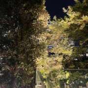 ヒメ日記 2025/10/17 08:16 投稿 らん Felice(フェリス)