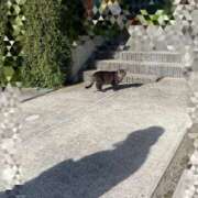 ヒメ日記 2025/12/02 09:04 投稿 らん Felice(フェリス)