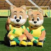 ヒメ日記 2025/12/18 12:51 投稿 らん Felice(フェリス)