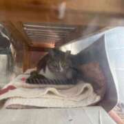 ヒメ日記 2025/12/30 12:23 投稿 らん Felice(フェリス)