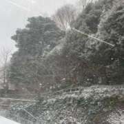 ヒメ日記 2026/02/08 10:35 投稿 らん Felice(フェリス)